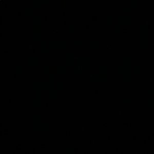 Meet your Posher, Tasha